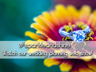 Sparkle & Shine Web Show