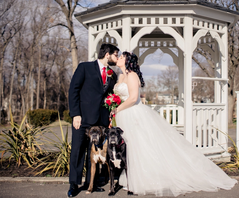 Pet Friendly Wedding Photos