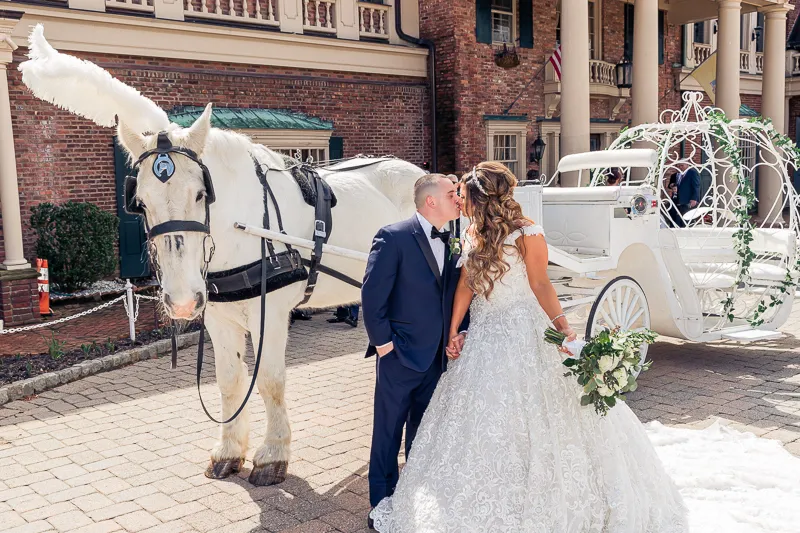 White horse with bride and groom